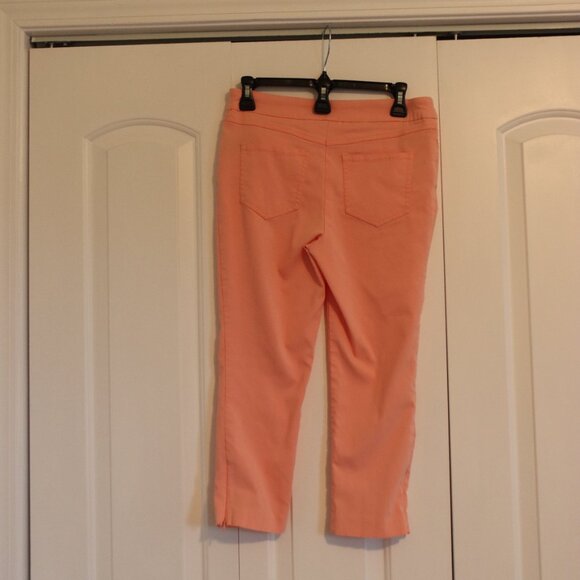 Renuar Pull On Stretch Crop resort/casual Pants Size 6 Peach - Picture 13 of 13